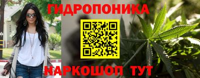 эйфоретик Будённовск